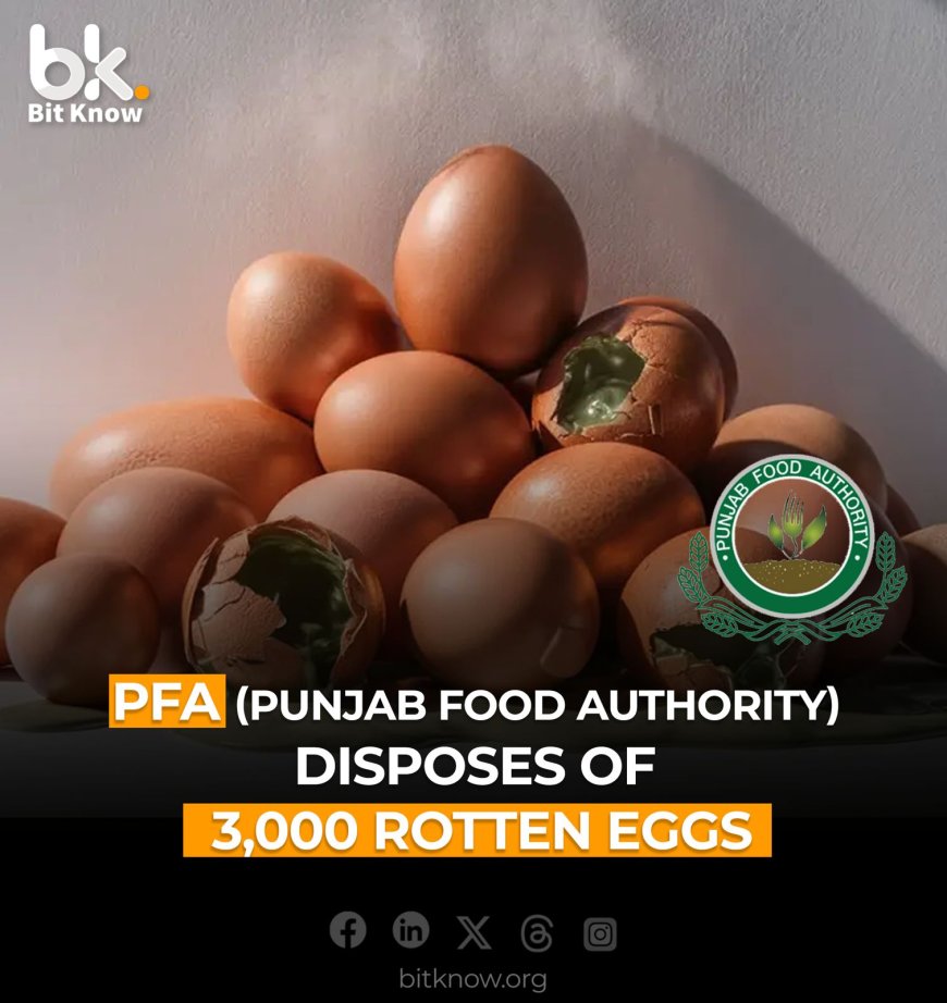 PFA (Punjab Food Authority) Disposes of 3,000 Rotten Eggs