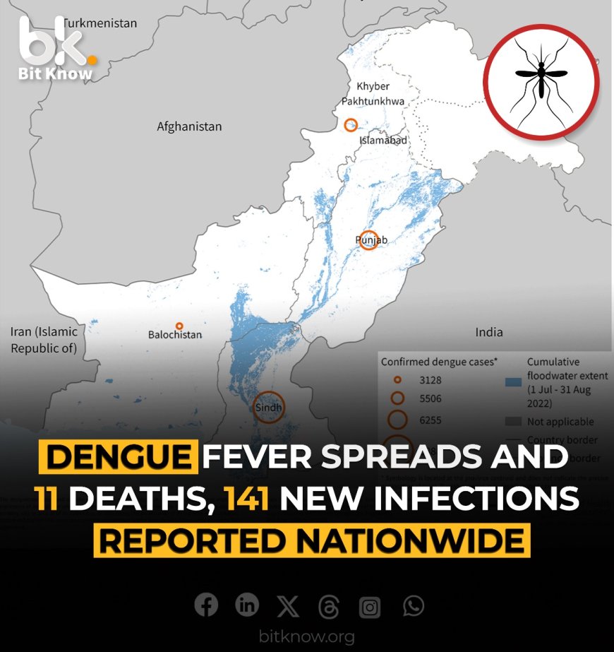 Dengue Fever Spreads and 11 Deaths, 141 New Infections Reported Nationwide