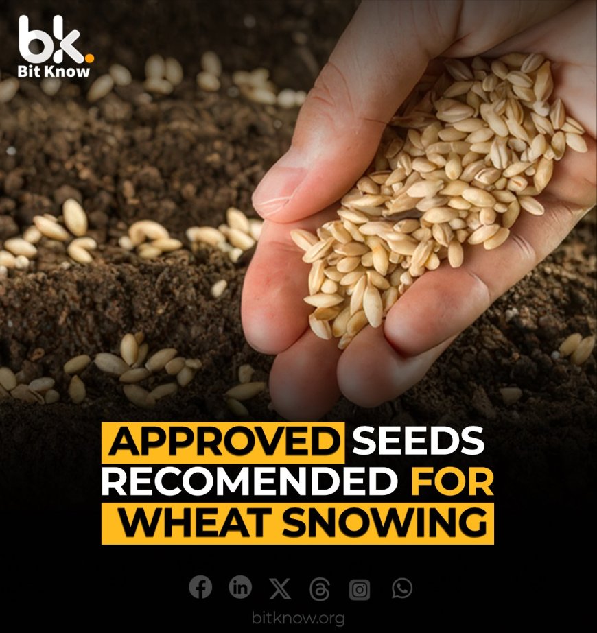 Approved seeds recommended for wheat sowing