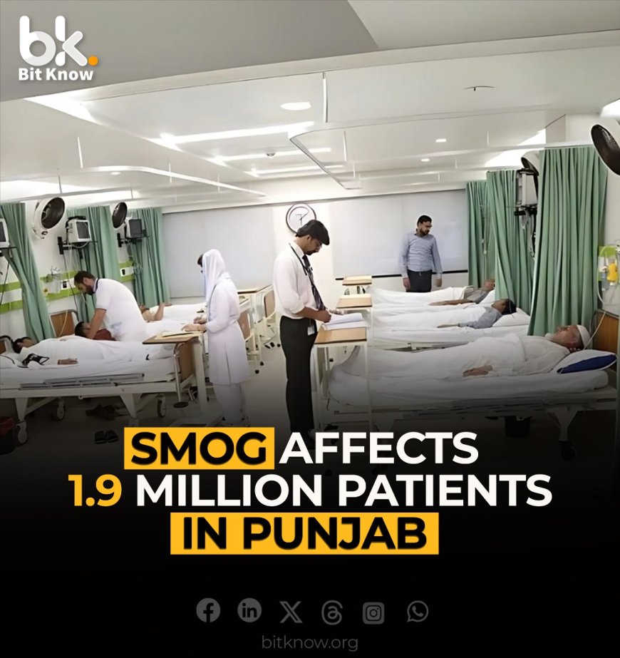 Smog Affects 1.9 Million Patients in Punjab