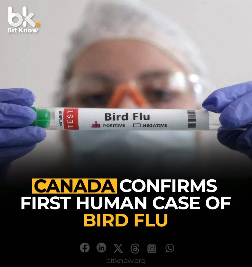 Canada Confirms First Human Case of Bird Flu