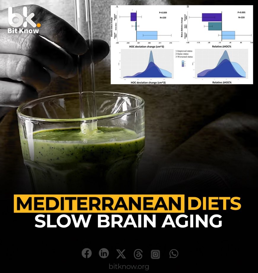 Mediterranean Diets Slow Brain Aging