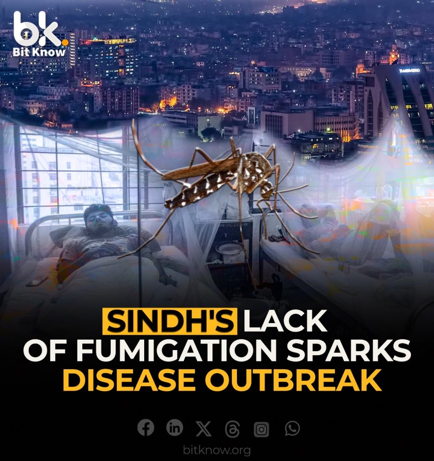 Sindh's Lack of Fumigation Sparks Disease Outbreak