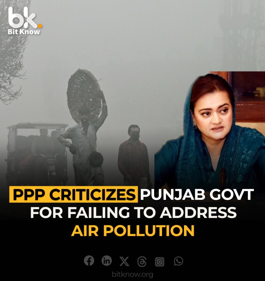 PPP Criticizes Punjab Government's Lack of Action on Air Pollution