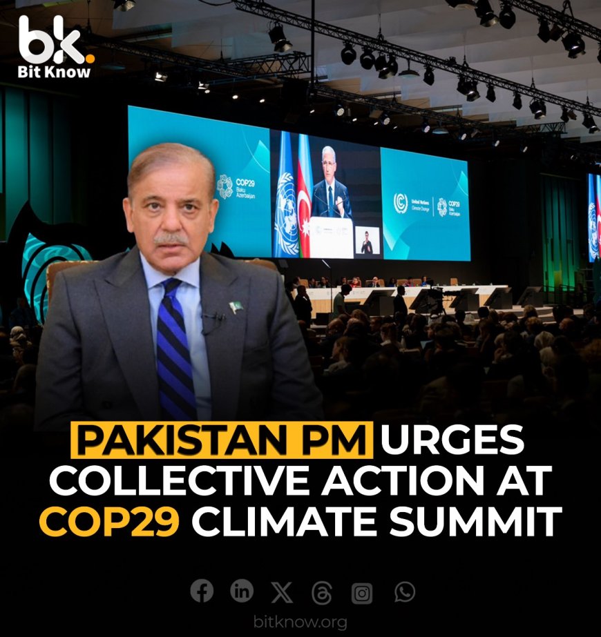 Pakistan PM Urges Collective Action at COP29 Climate Summit