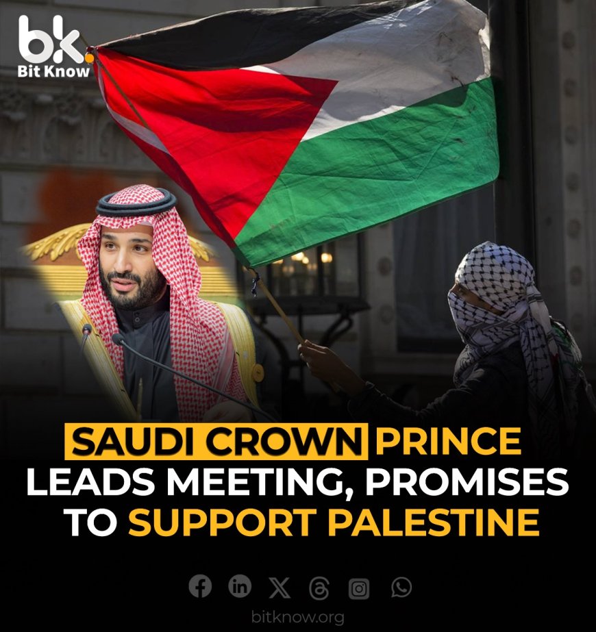 Saudi Crown Prince Chairs Summit, Pledges Palestine Support