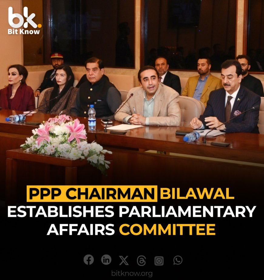 PPP Chairman Bilawal Establishes Parliamentary Affairs Committee