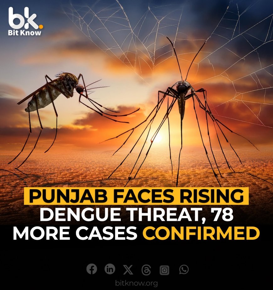 Punjab Faces Rising Dengue Threat, 78 More Cases Confirmed