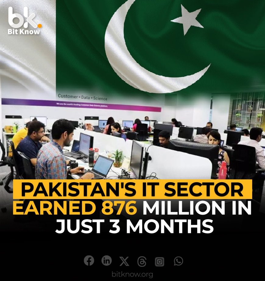 Pakistan's IT Sector Earned $876 Million in Just 3 Months