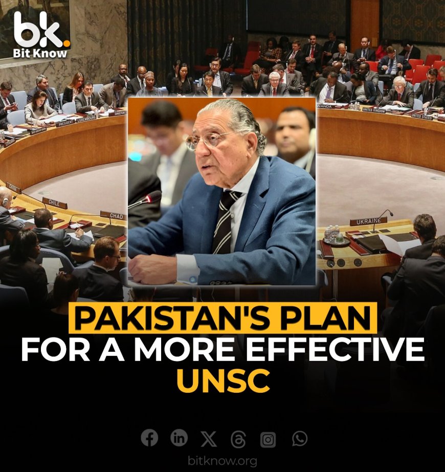 Pakistan's Plan for a More Effective UNSC