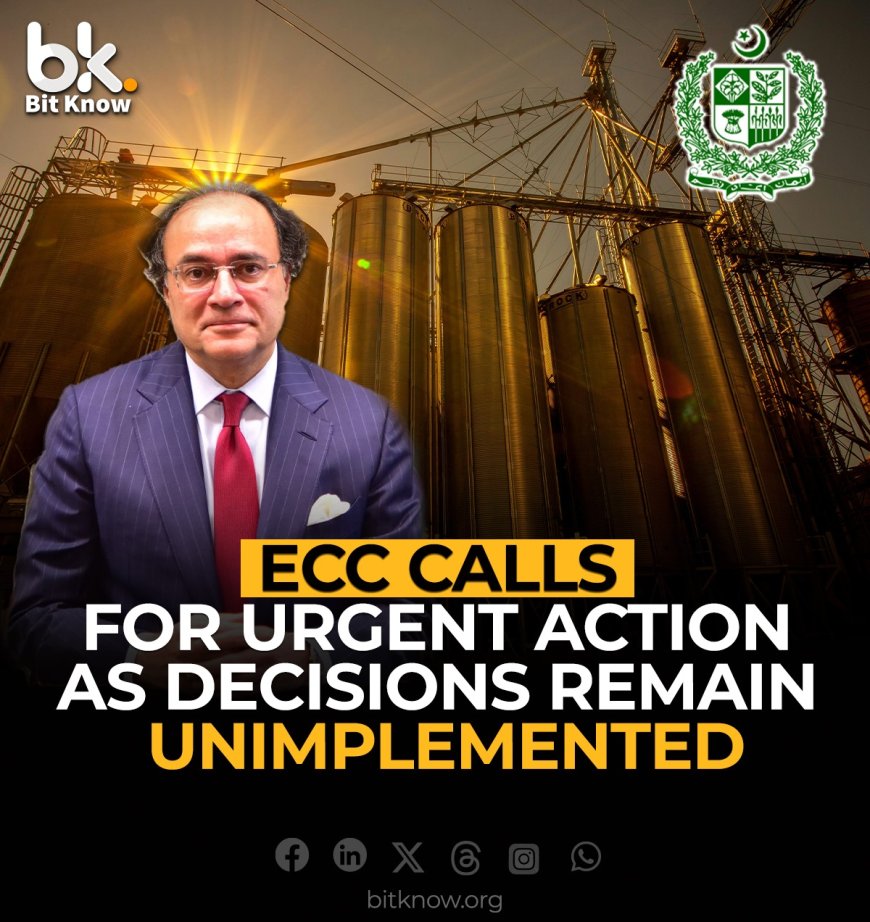 ECC Calls for Urgent Action as Decisions Remain Unimplemented