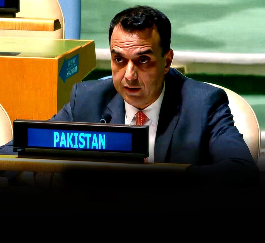 Pakistan Seeks Global Help for 300M Enduring Occupation & Climate Challenges