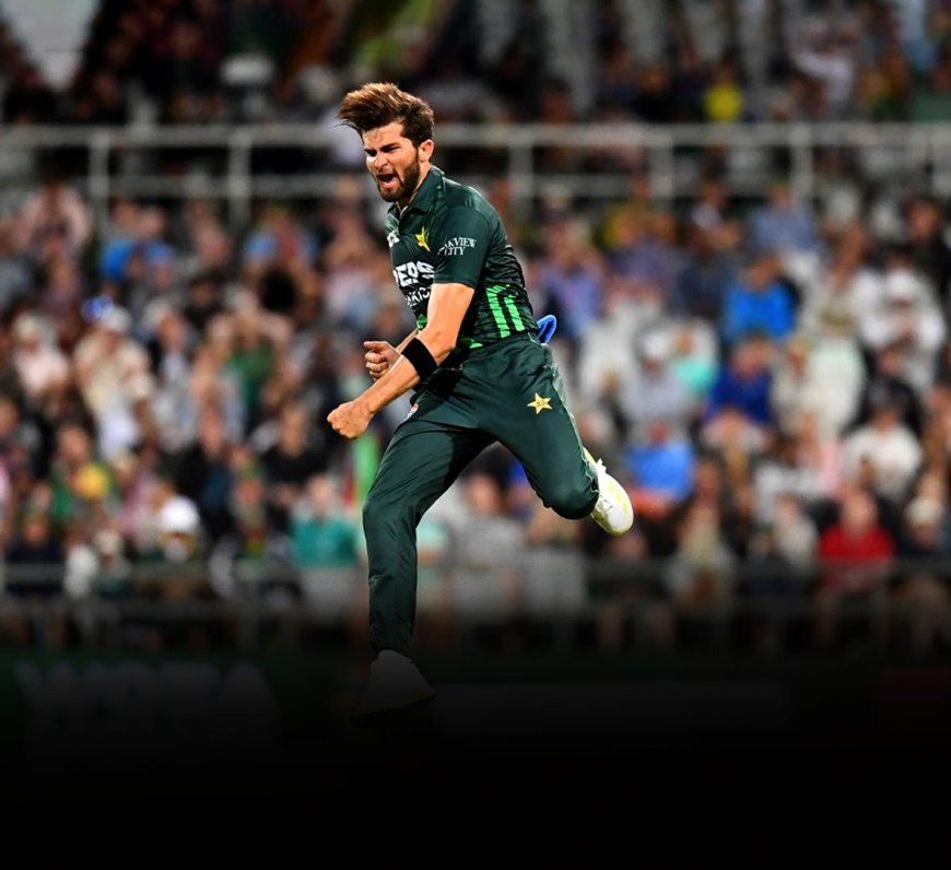 Shaheen Afridi Proves His Worth with Consistent ODI Performances