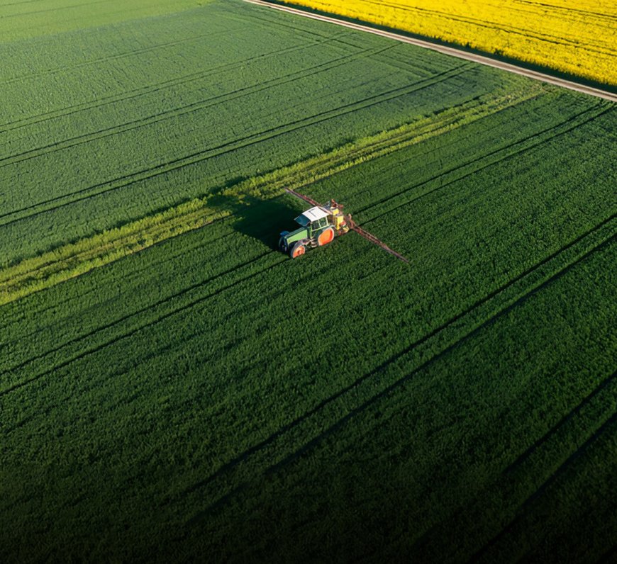 Sindh’s 14,008-Acre Land Allotment for Corporate Farming Stalled by Cabinet