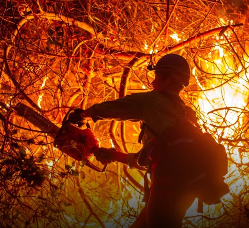 Fire Crews Battle Los Angeles Wildfires as Death Toll Rises to 24