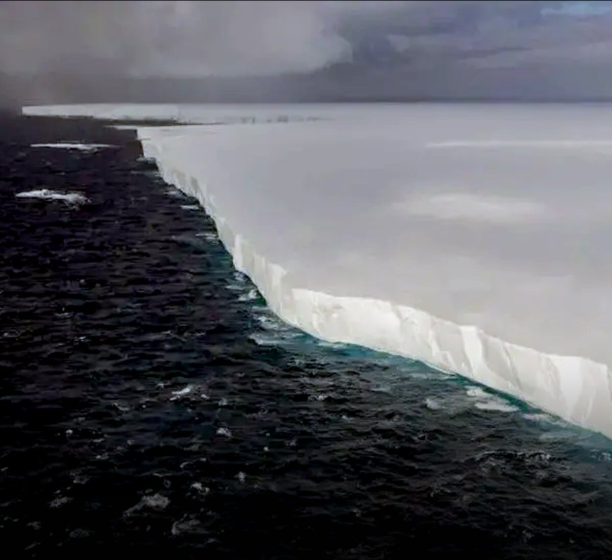 World's Largest Iceberg, A23a, Threatens South Georgia's Delicate Ecosystem