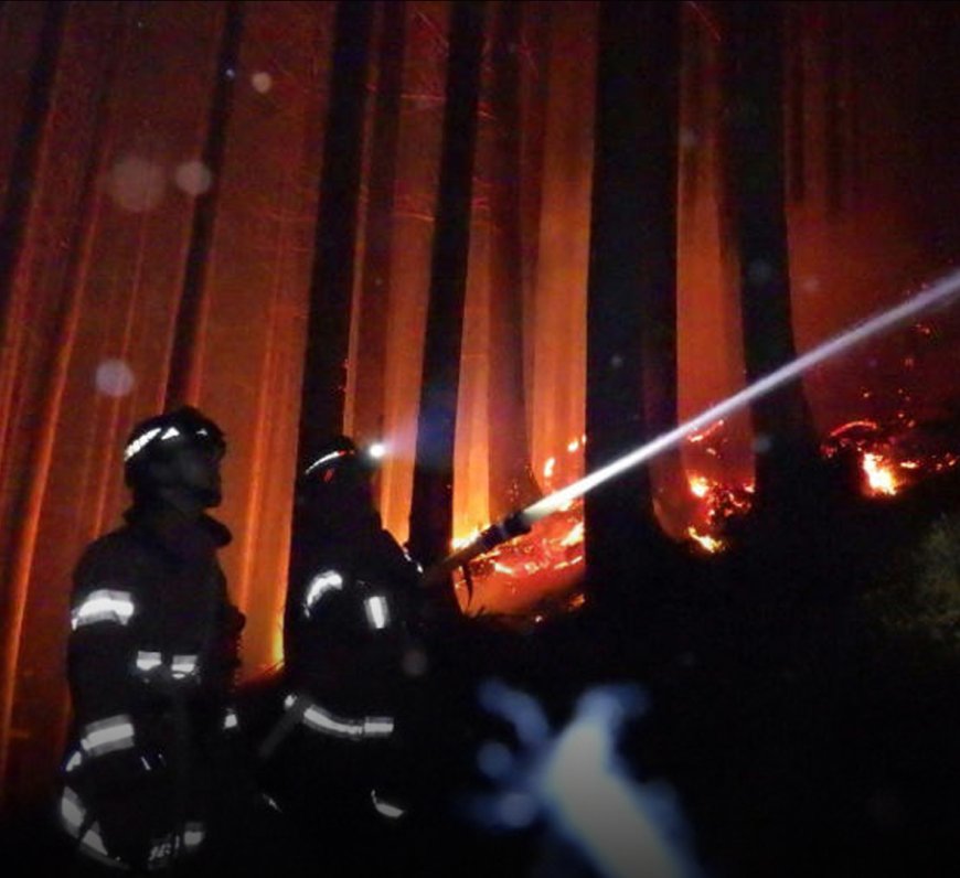 Japan's Worst Wildfire in Half a Century Leaves Thousands Homeless